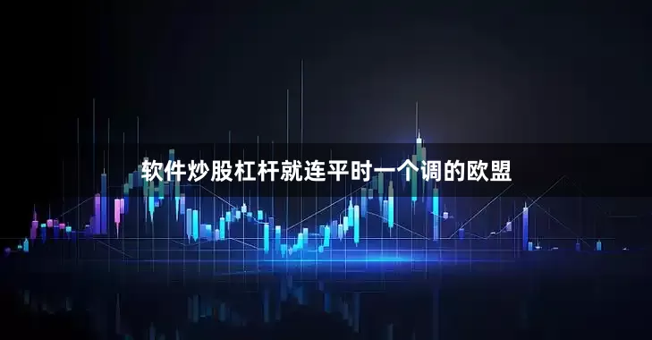 软件炒股杠杆就连平时一个调的欧盟
