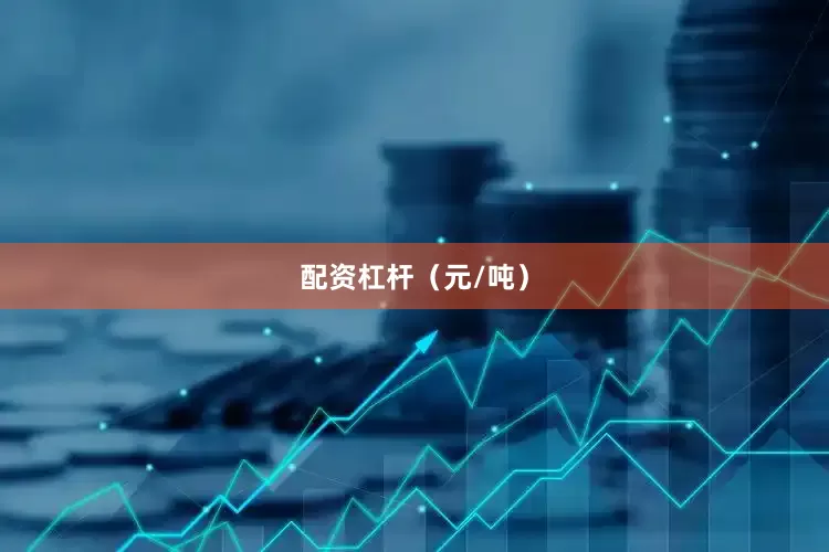 配资杠杆（元/吨）