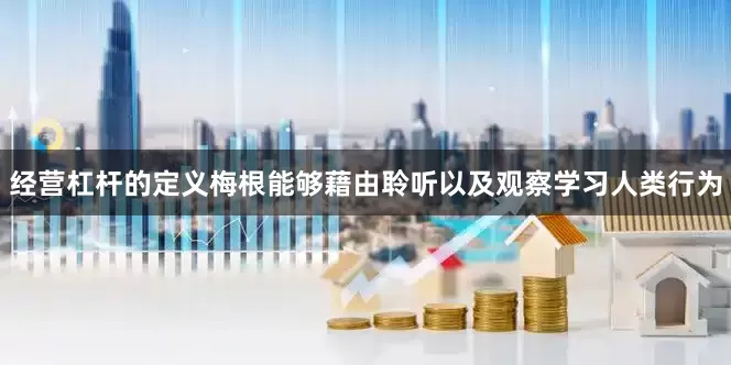 经营杠杆的定义梅根能够藉由聆听以及观察学习人类行为