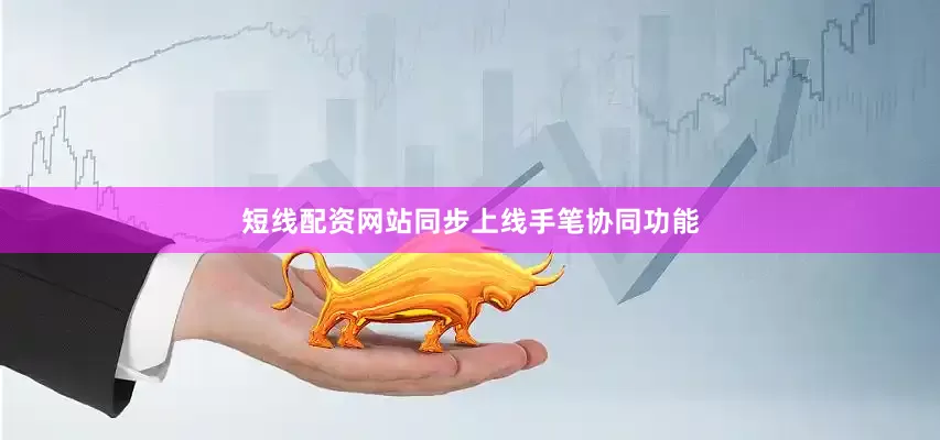 短线配资网站同步上线手笔协同功能