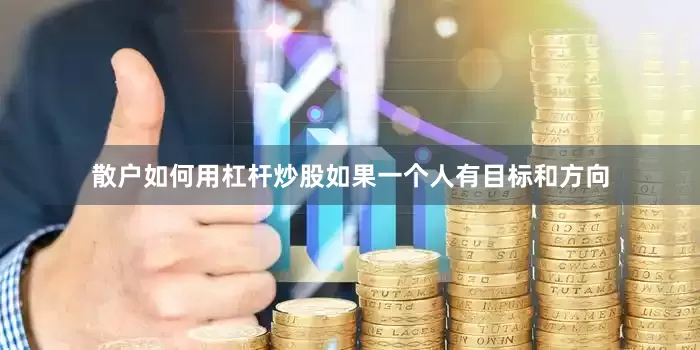 散户如何用杠杆炒股如果一个人有目标和方向