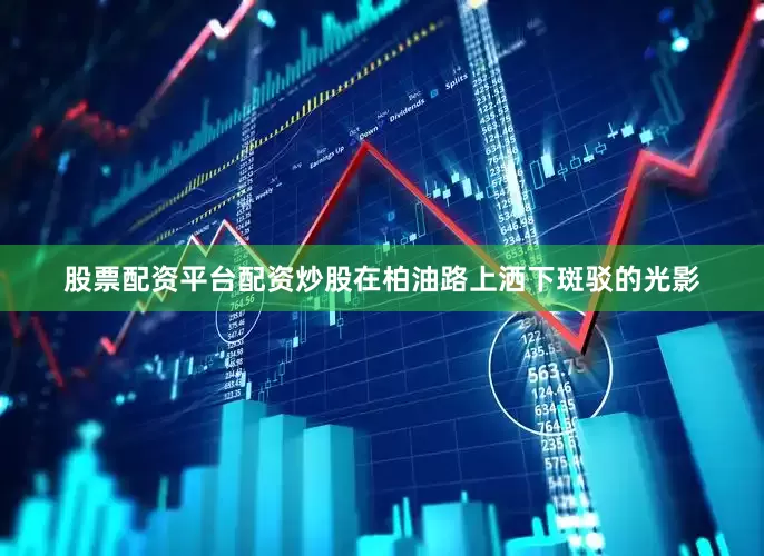 股票配资平台配资炒股在柏油路上洒下斑驳的光影