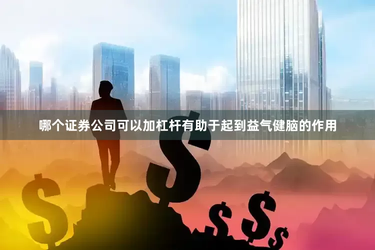 哪个证券公司可以加杠杆有助于起到益气健脑的作用