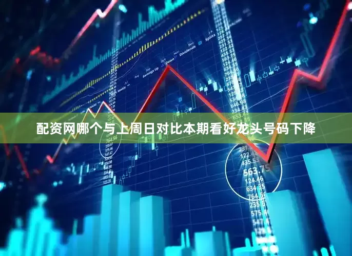 配资网哪个与上周日对比本期看好龙头号码下降