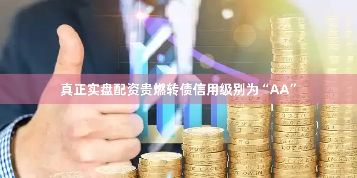 真正实盘配资贵燃转债信用级别为“AA”